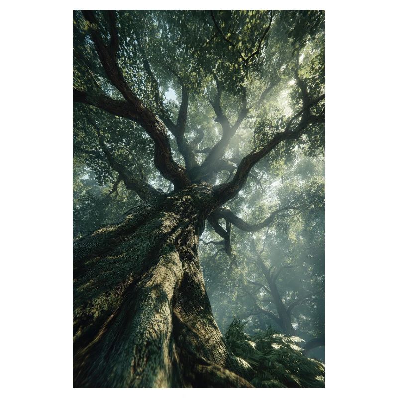 Ancient Forest Light