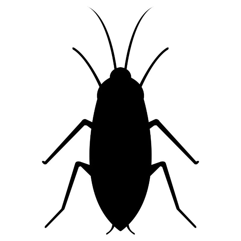 cockroach