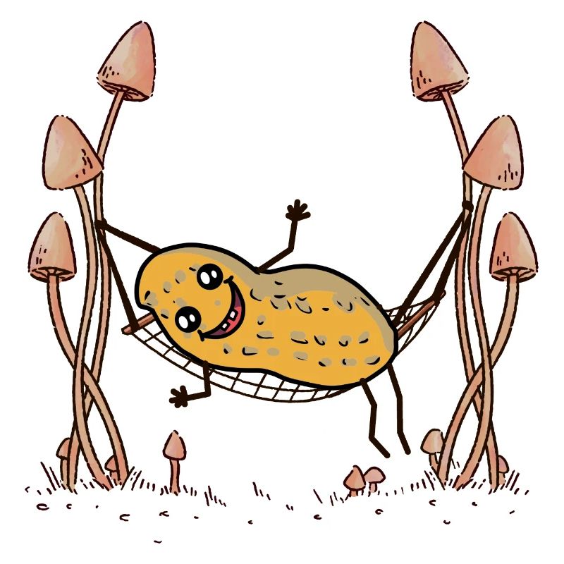 Peanut Peanuts Hammock Chill Hanging Nut