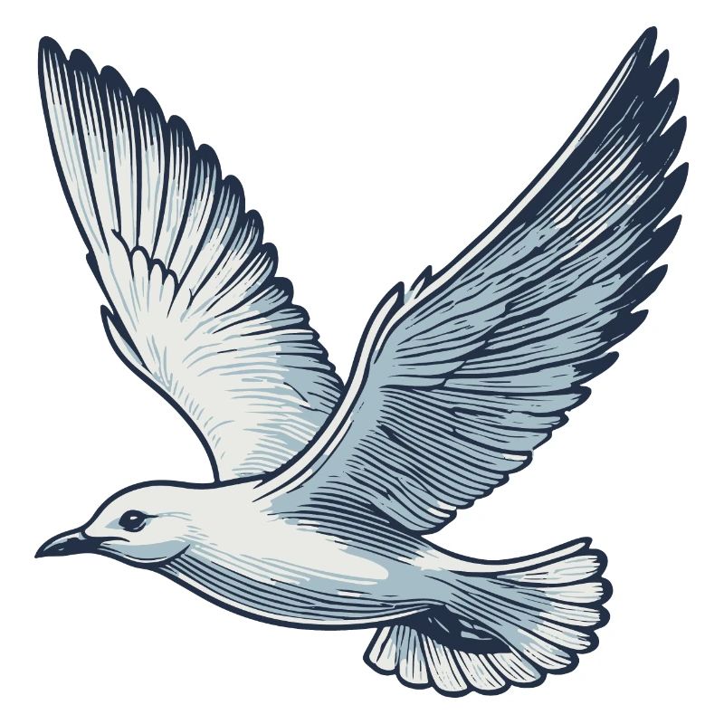Gull