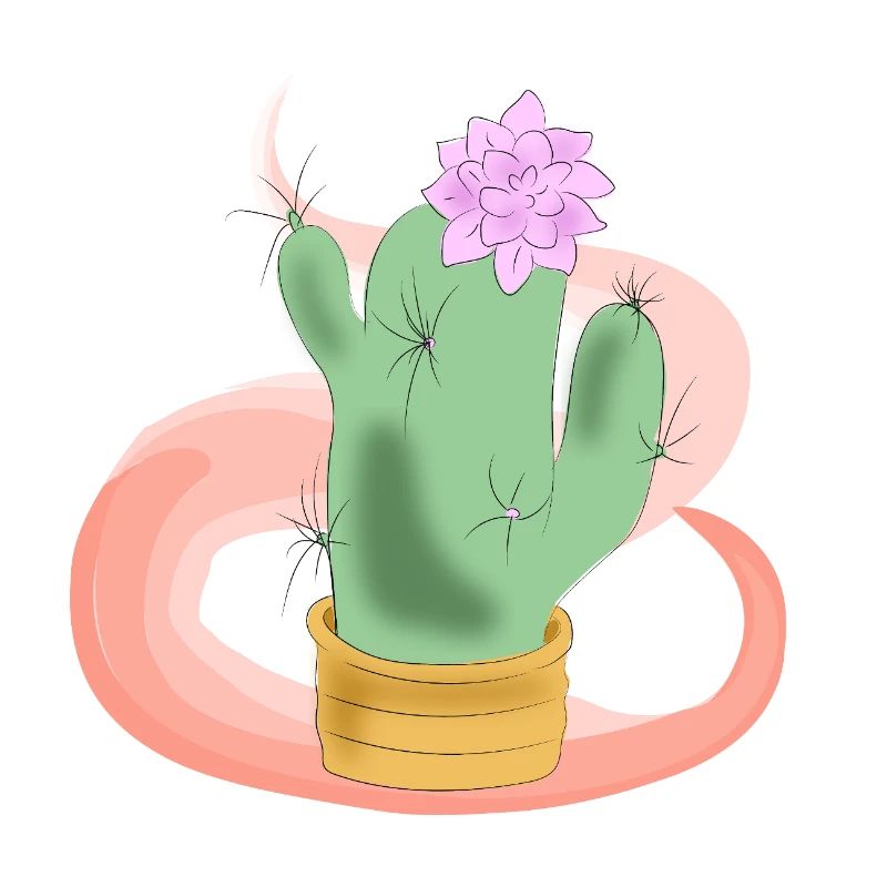Pot de cactus avec fleur rose