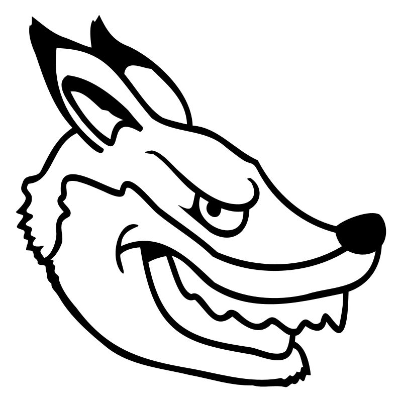 Fuchs Böser Blick Gefährlich Rotfuchs Wildes Tier