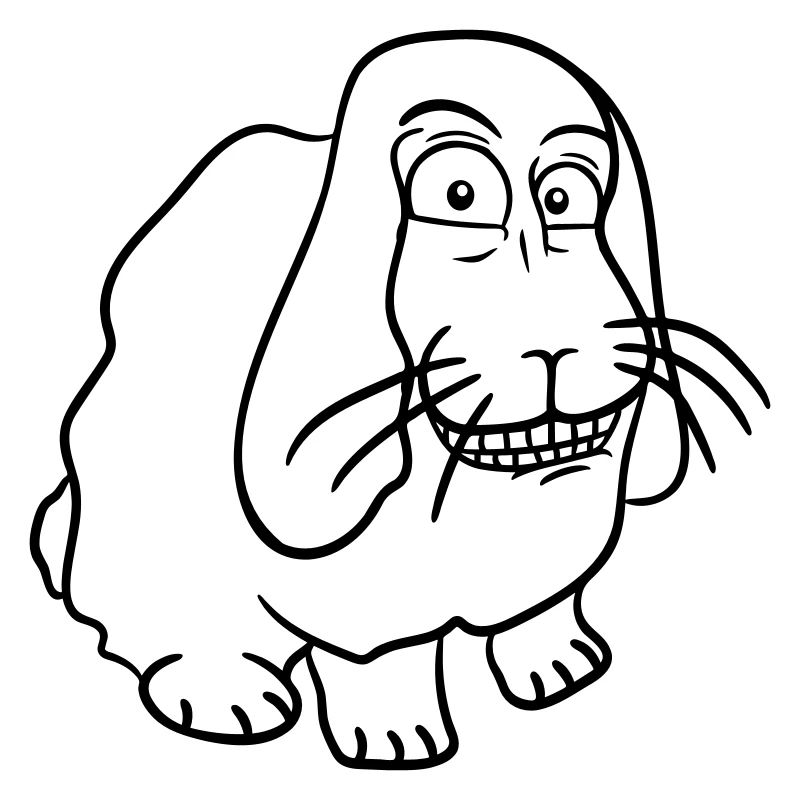 Bunny Rabbit Funny Face Grimace Grin