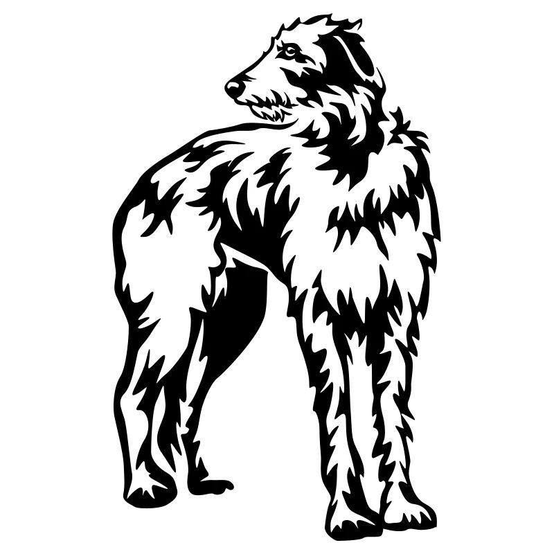 Deerhound écossais