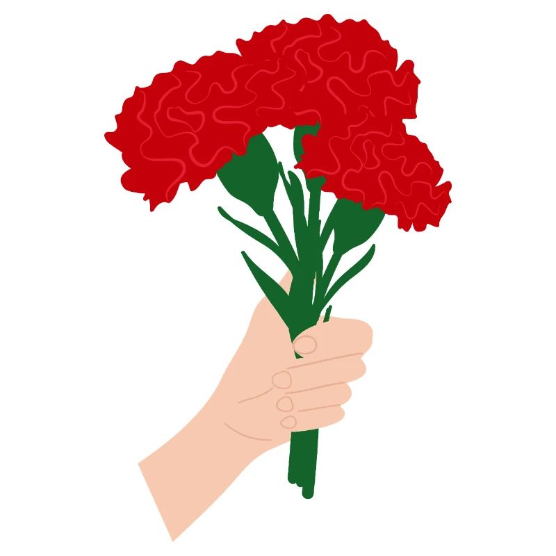 Pour vous- Fleur d’œillet rouge3