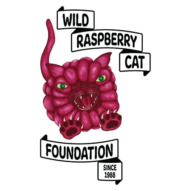 Raspberry le chat