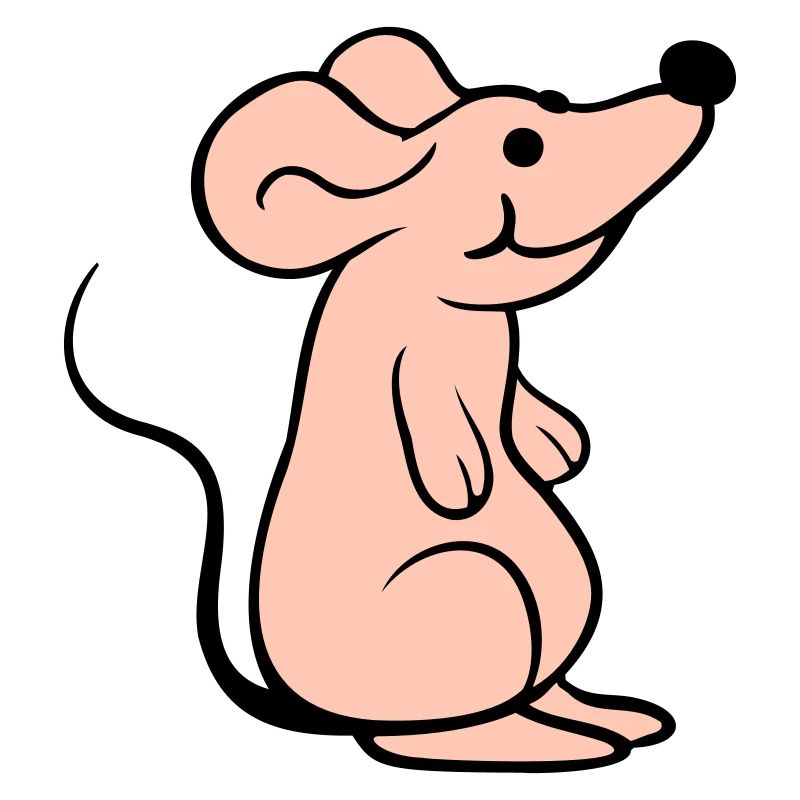 Mouse Mouse Cute Little Rat Rodent Friendly