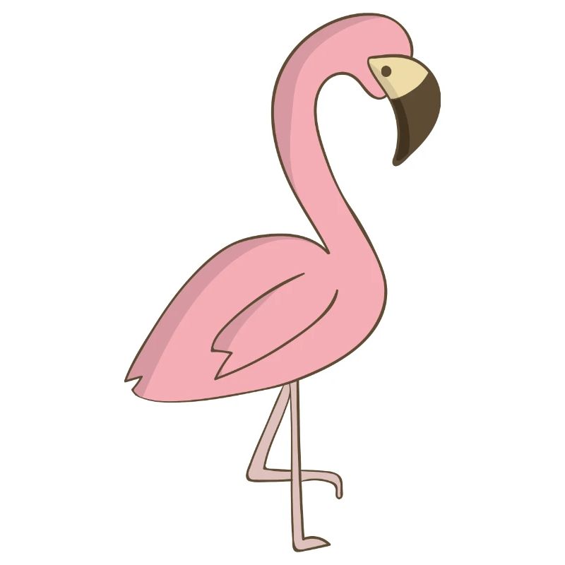 flamingo