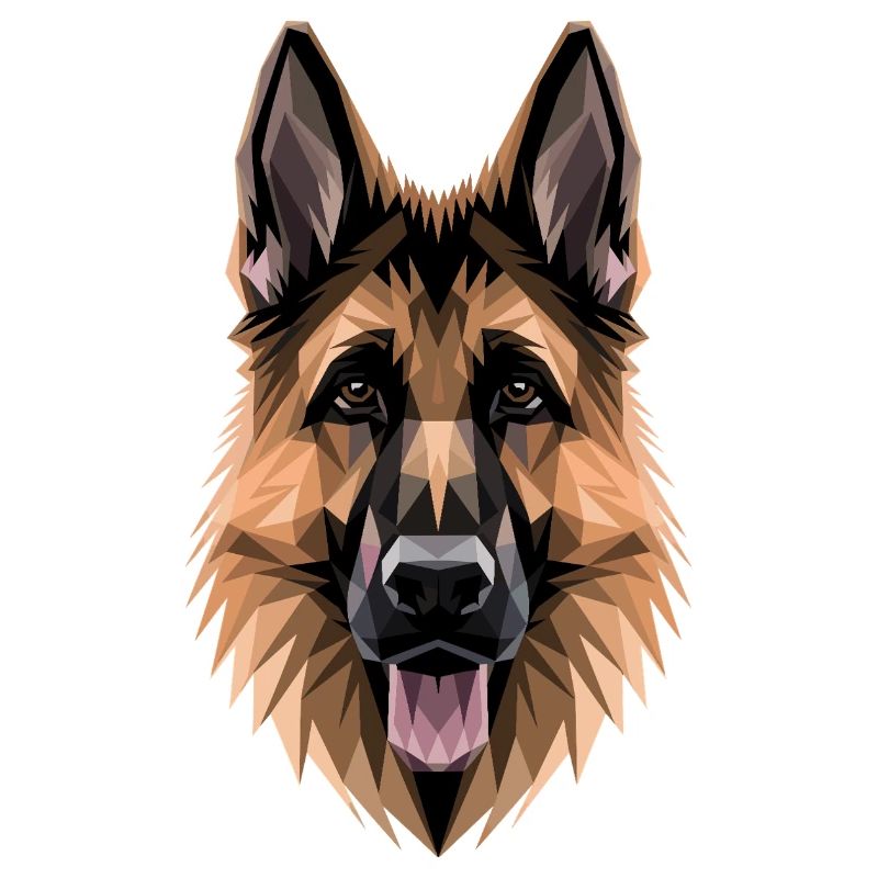 Schäferhund Hund Liebe Deutscher Schäferhund Hunde
