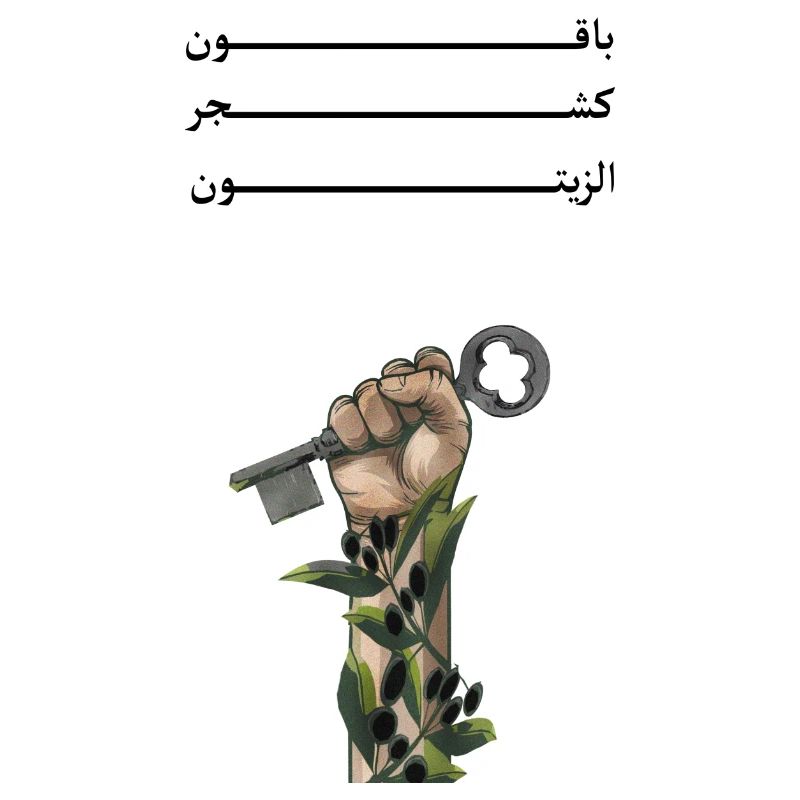 Solid like Oliven trees