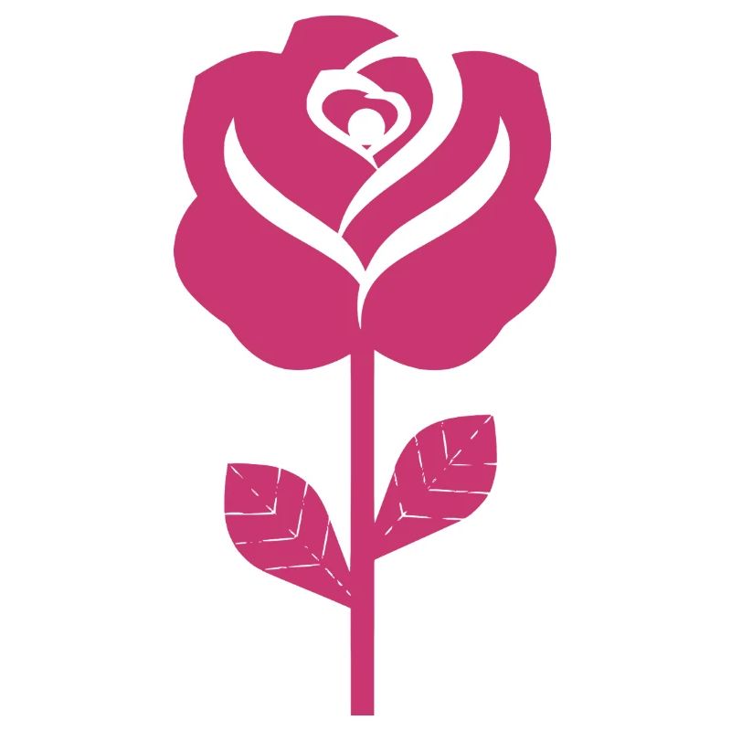 Abstract Pink Rose Illustration
