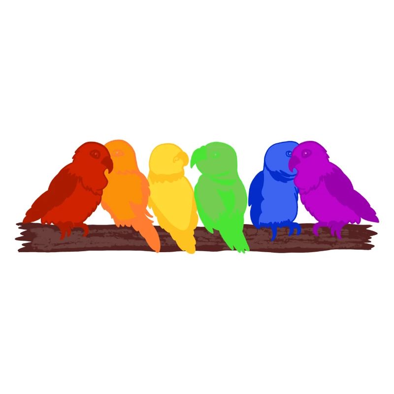 Regenbogen der Vögel