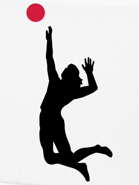 volleyball