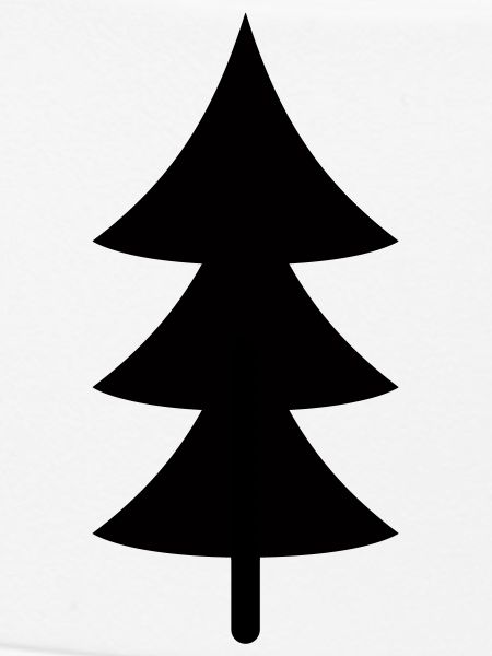 Fir