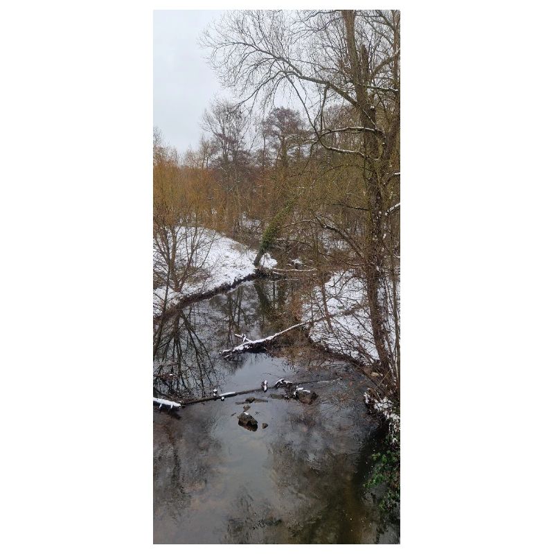 Rivière d’hiver dans le brouillard