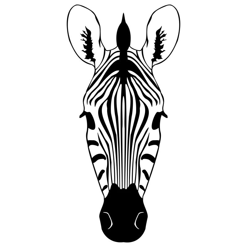 Zebra Illustration