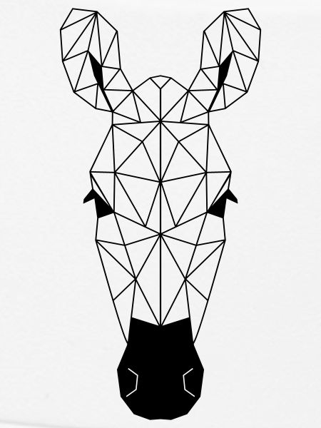 Zebra Polygon