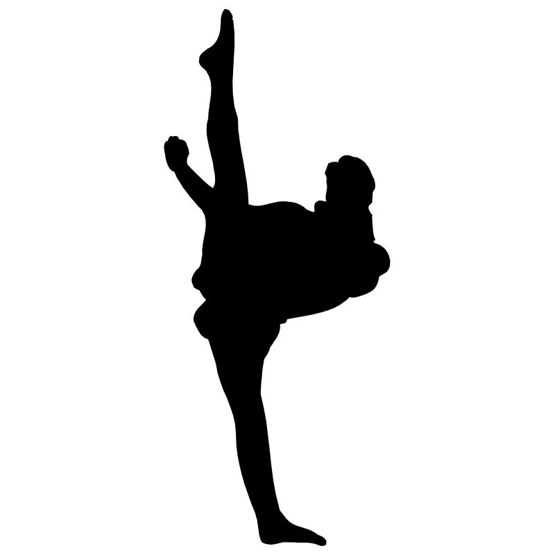 Karate or taekwondo high kick