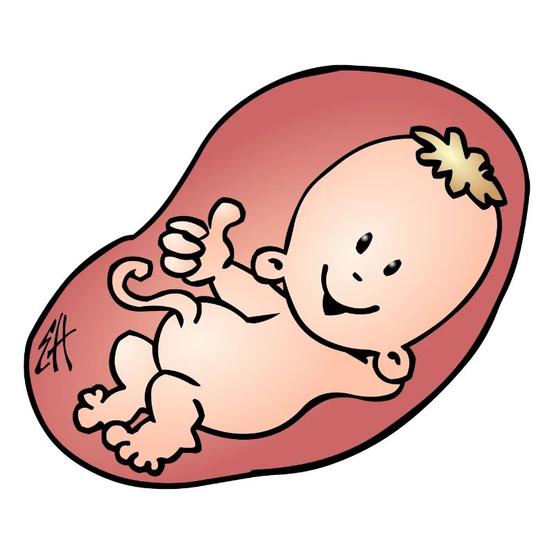 Enceinte - grossesse