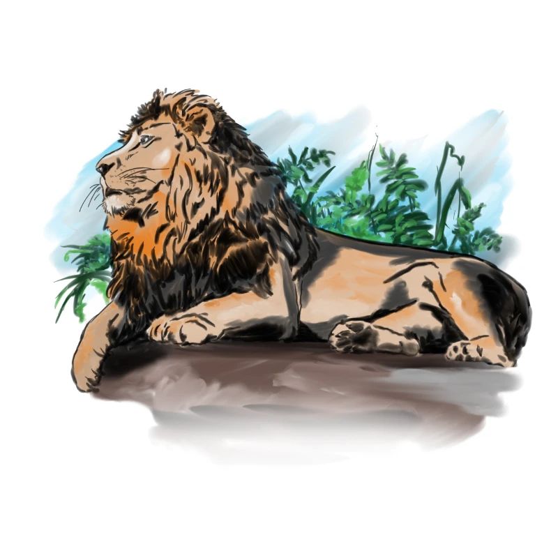 Lion