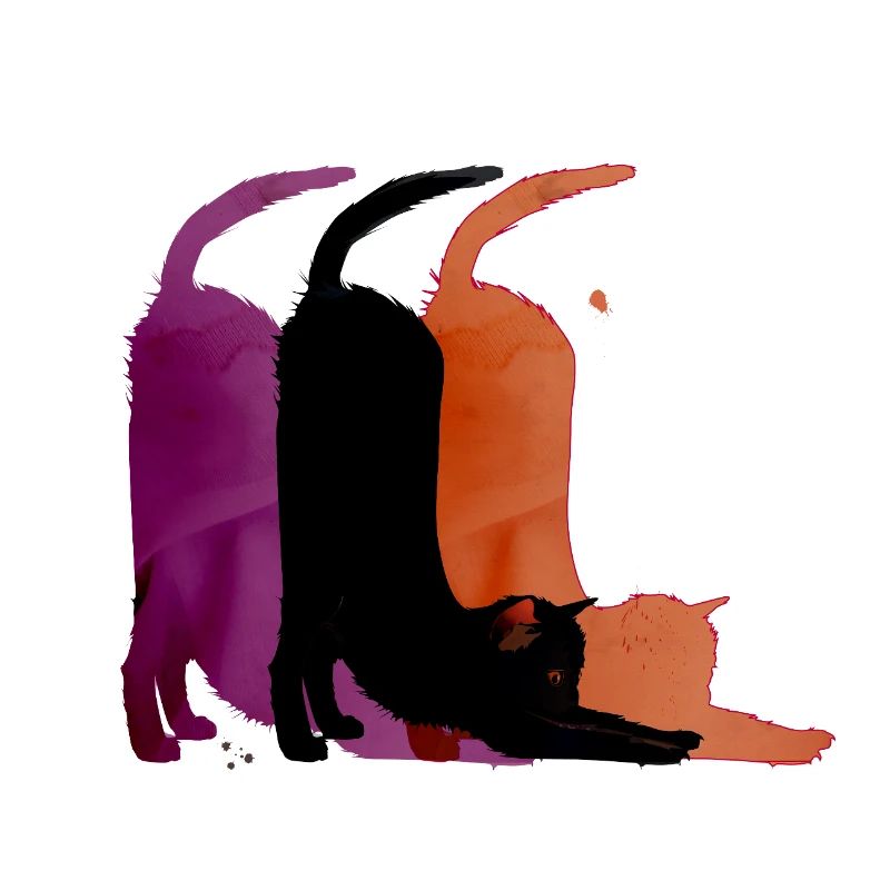 Katze