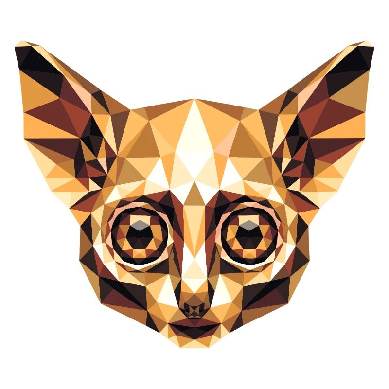 Galago Bush Baby Monkey Galagos Monkey Cute Galago