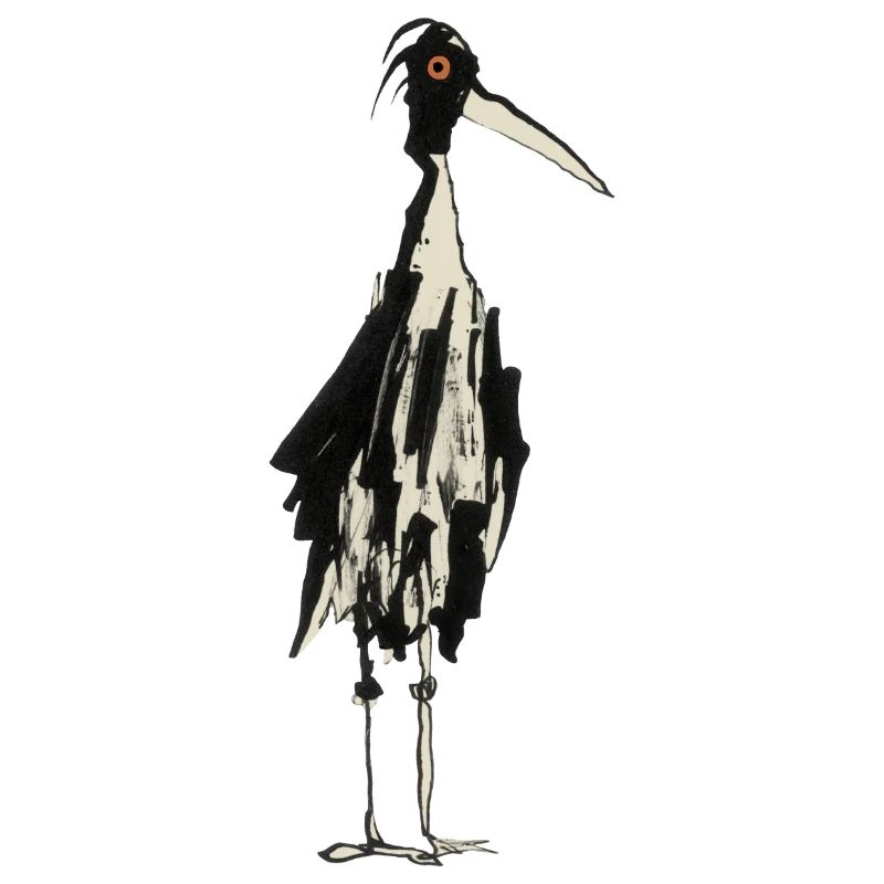 Storch