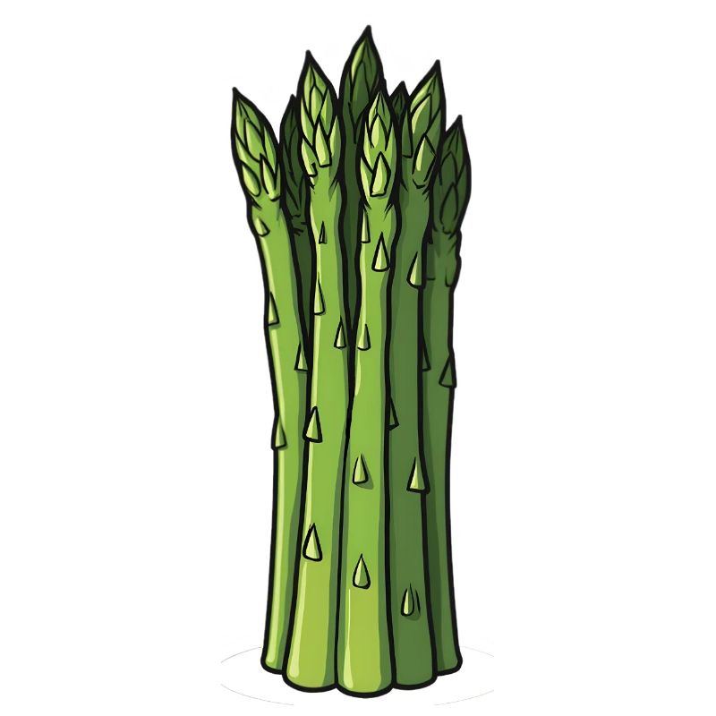 Asparagus