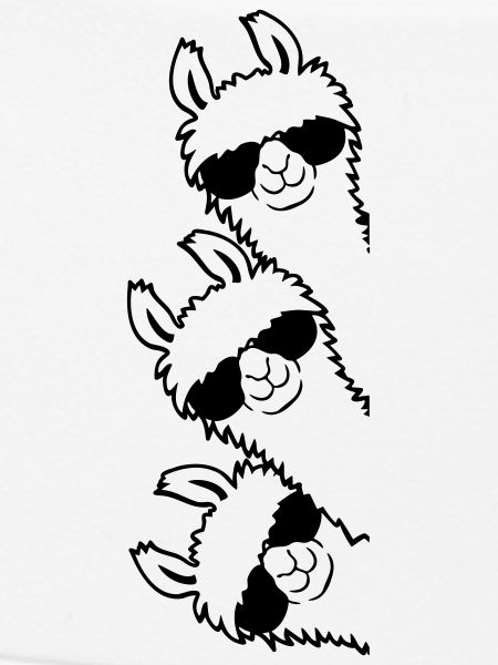 Friends Lama Team