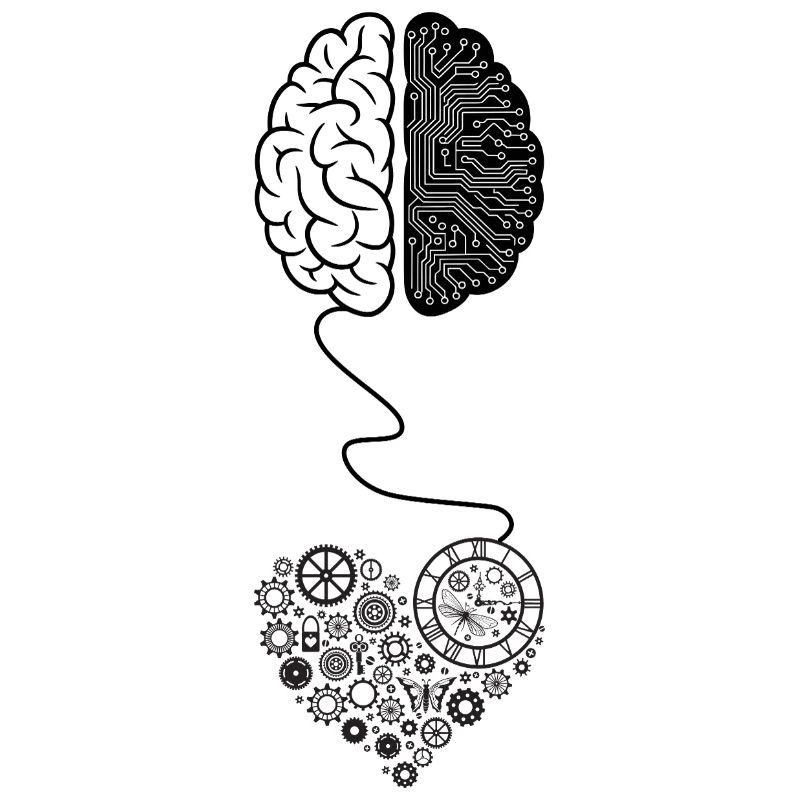 Biomechanical Brain Circuit Design