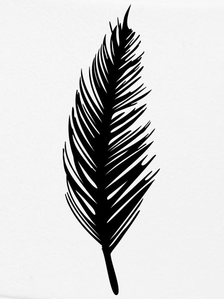 plume