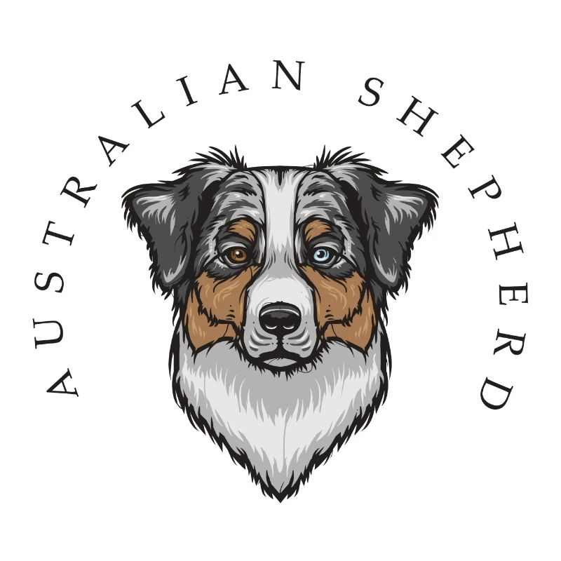 Australian Shepherd