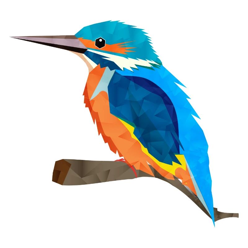 multi-faceted kingfisher with bright plumage