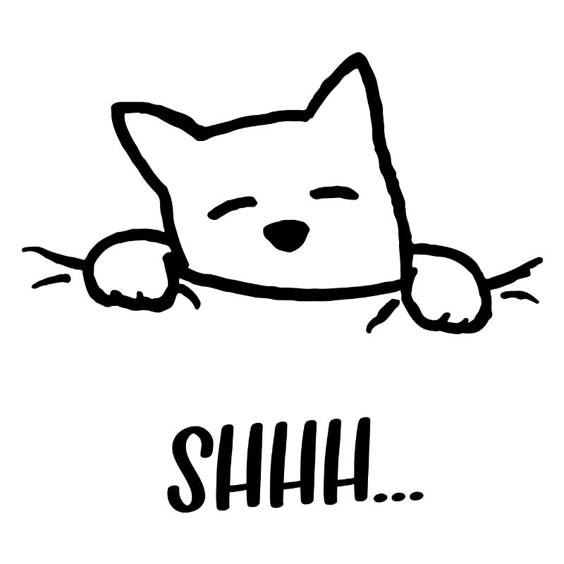 Chut ... le chat dort!