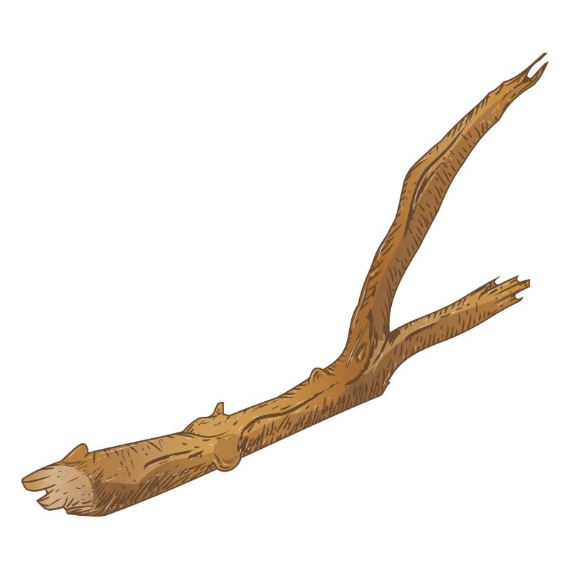 ein Stück abgebrochener Ast eines Baums