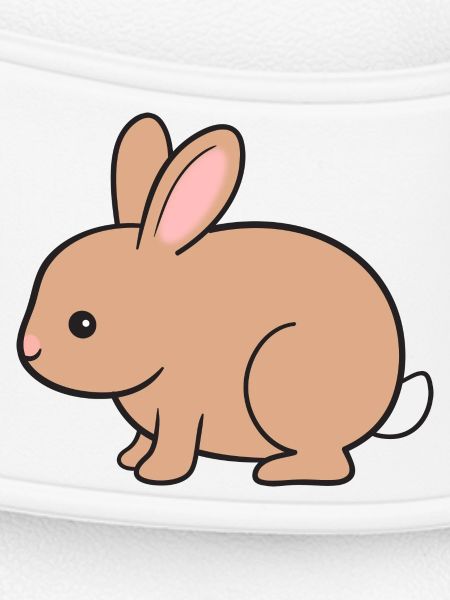 Rabbit Rabbit