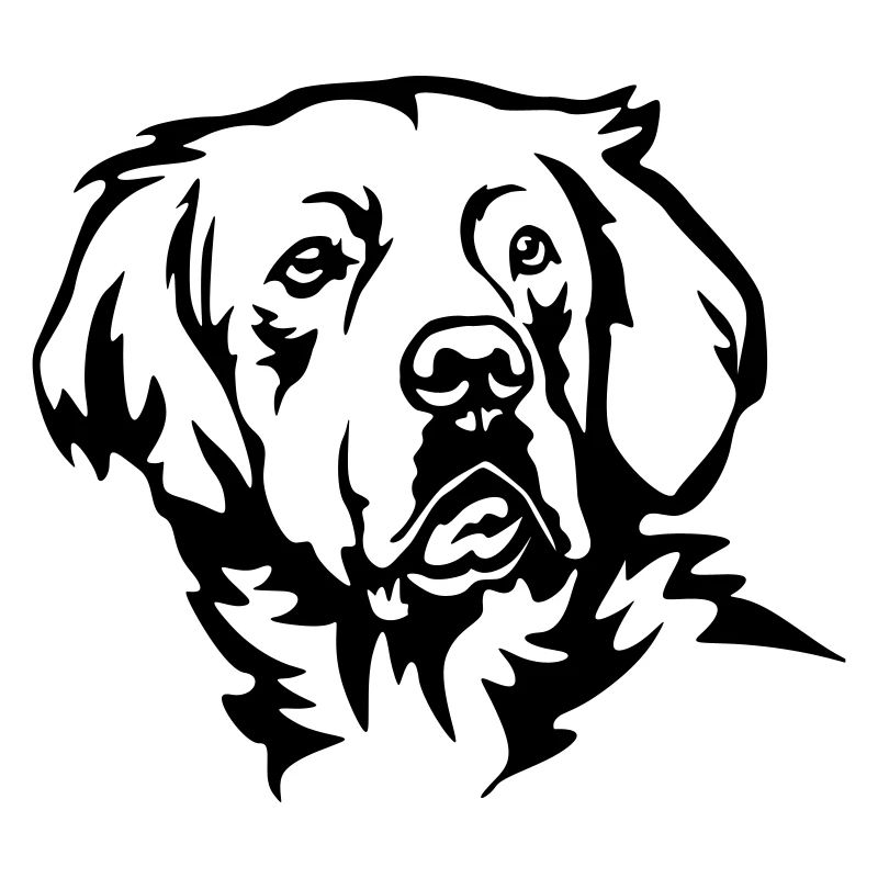 Golden Retriever Kopf