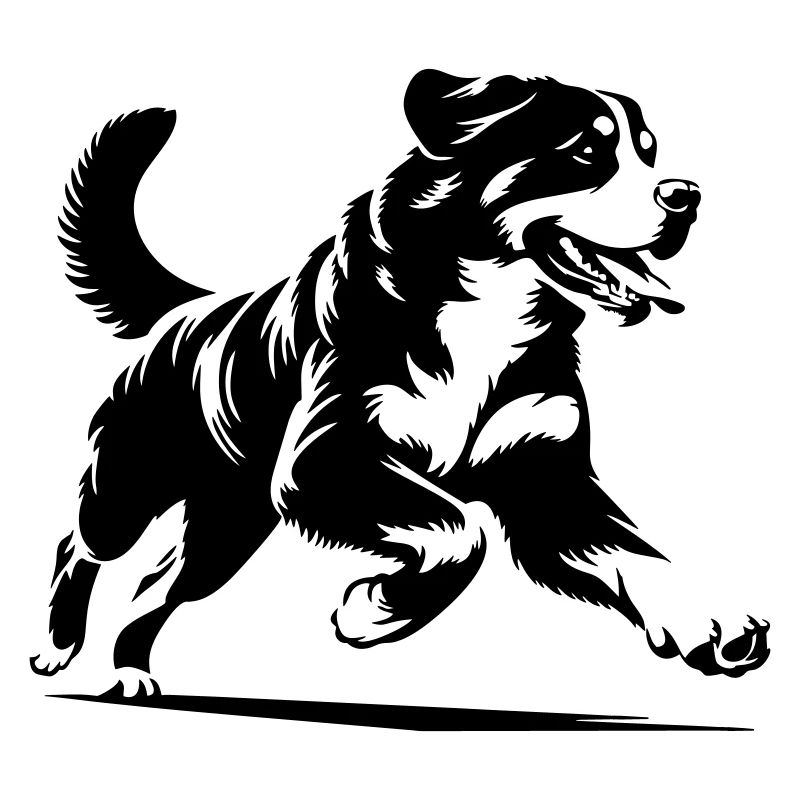 Bernese Mountain Dog