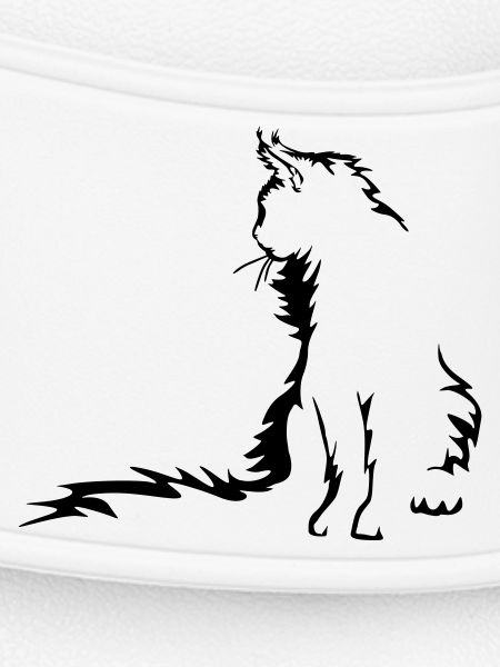 Maine Coon Cat
