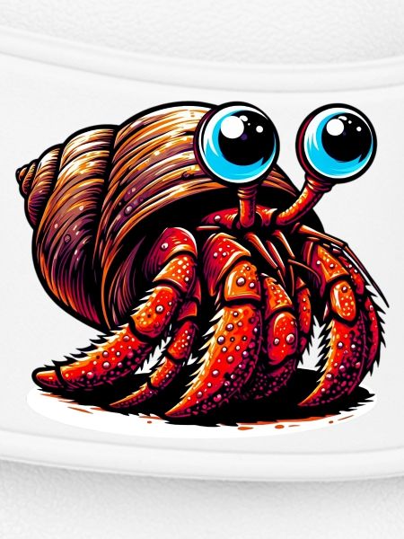 Hermit crab