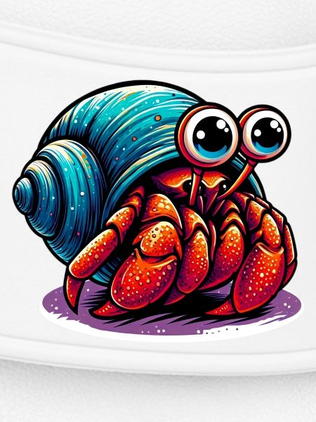 Hermit crab