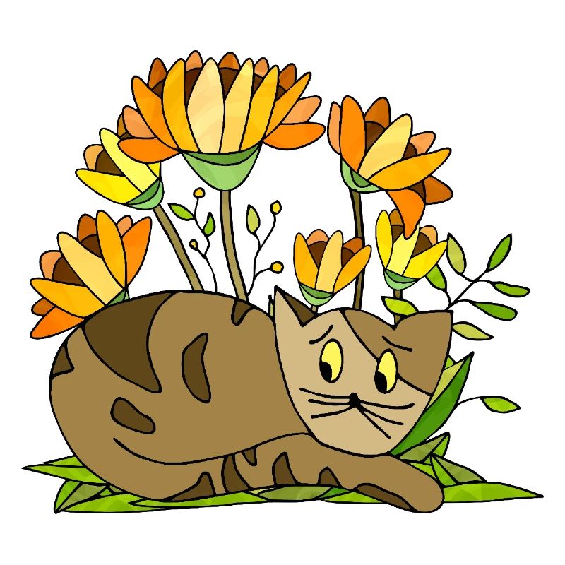 Chat