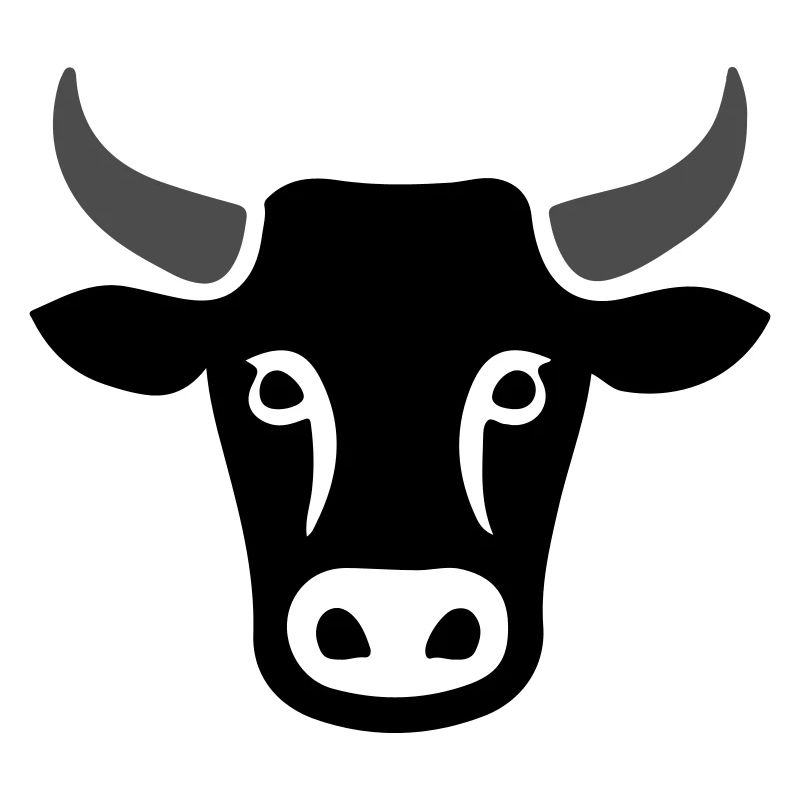 Cow Cattle Head
