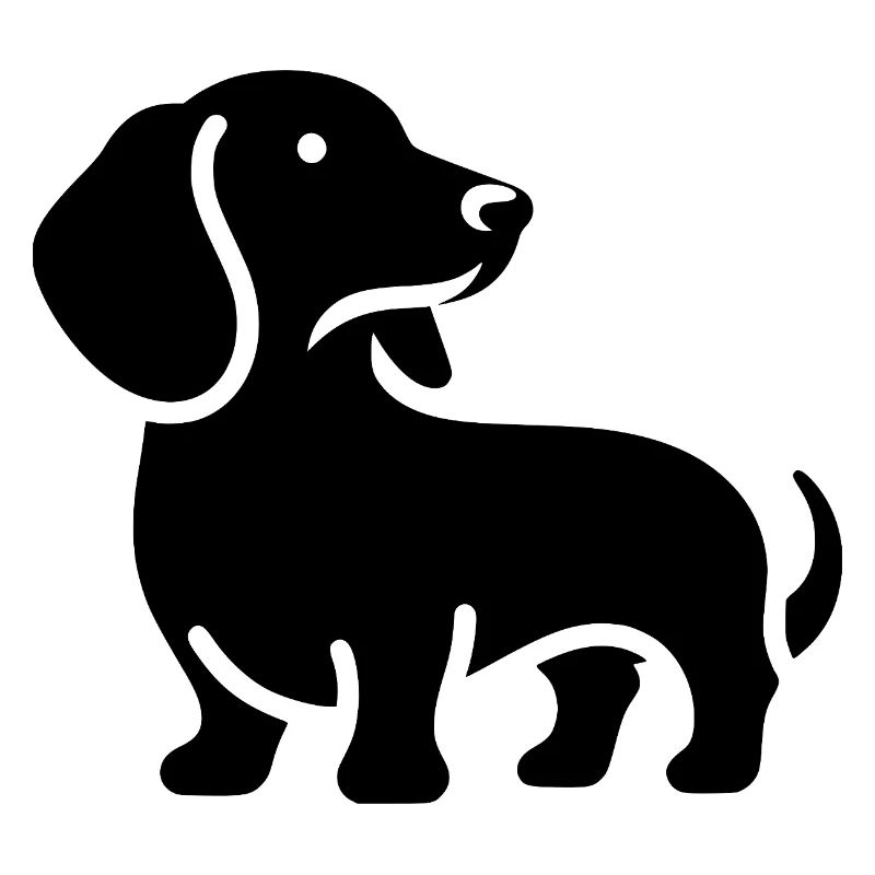 Dachshund