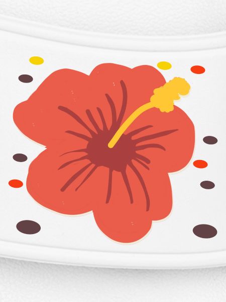 Hibiscus