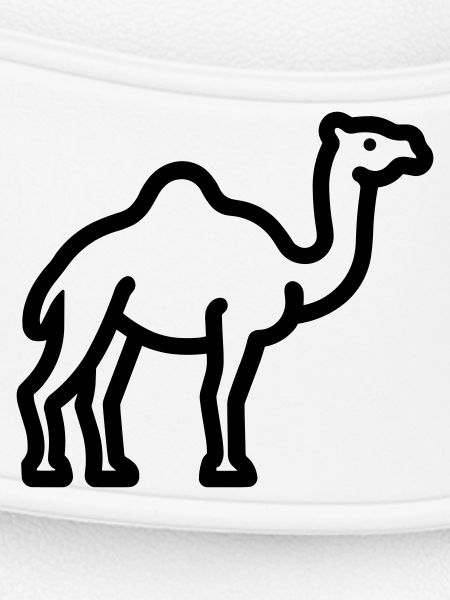 Kamel