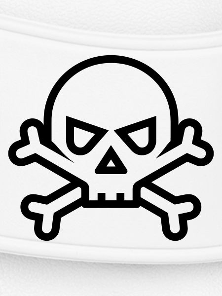 Pirate Skull