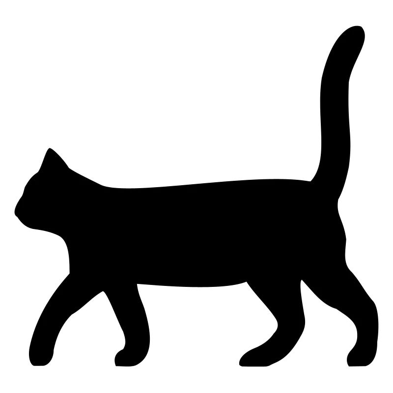 schwarze Katze