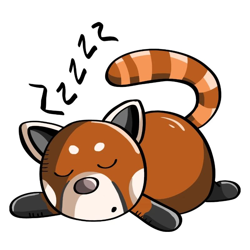 Snoring red panda panda bear is sleeping