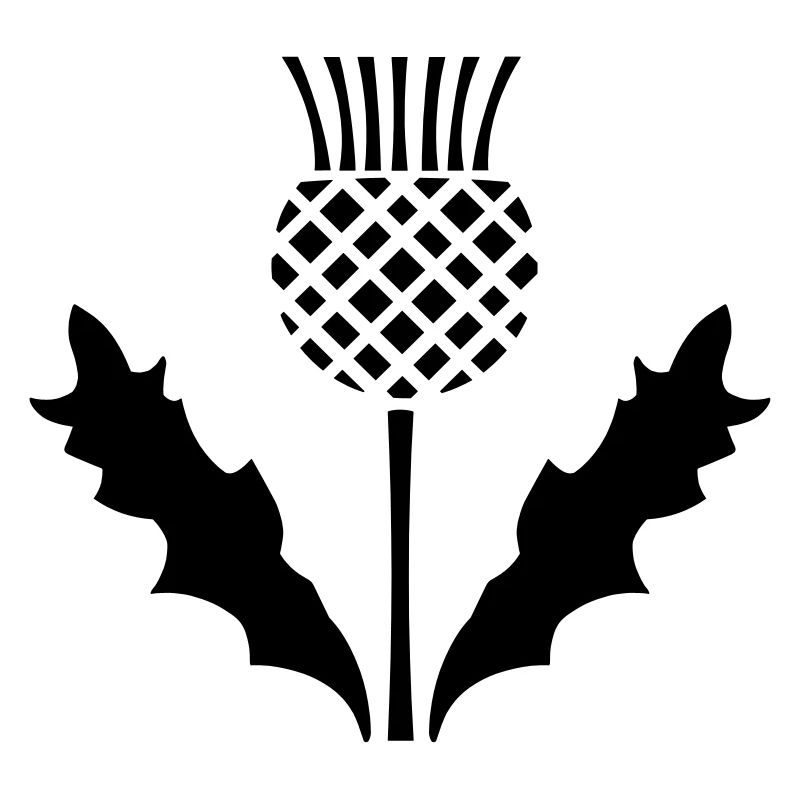 Scottish Thistle